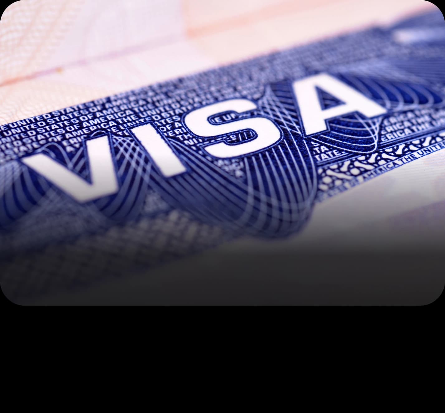 visa-tsa-1