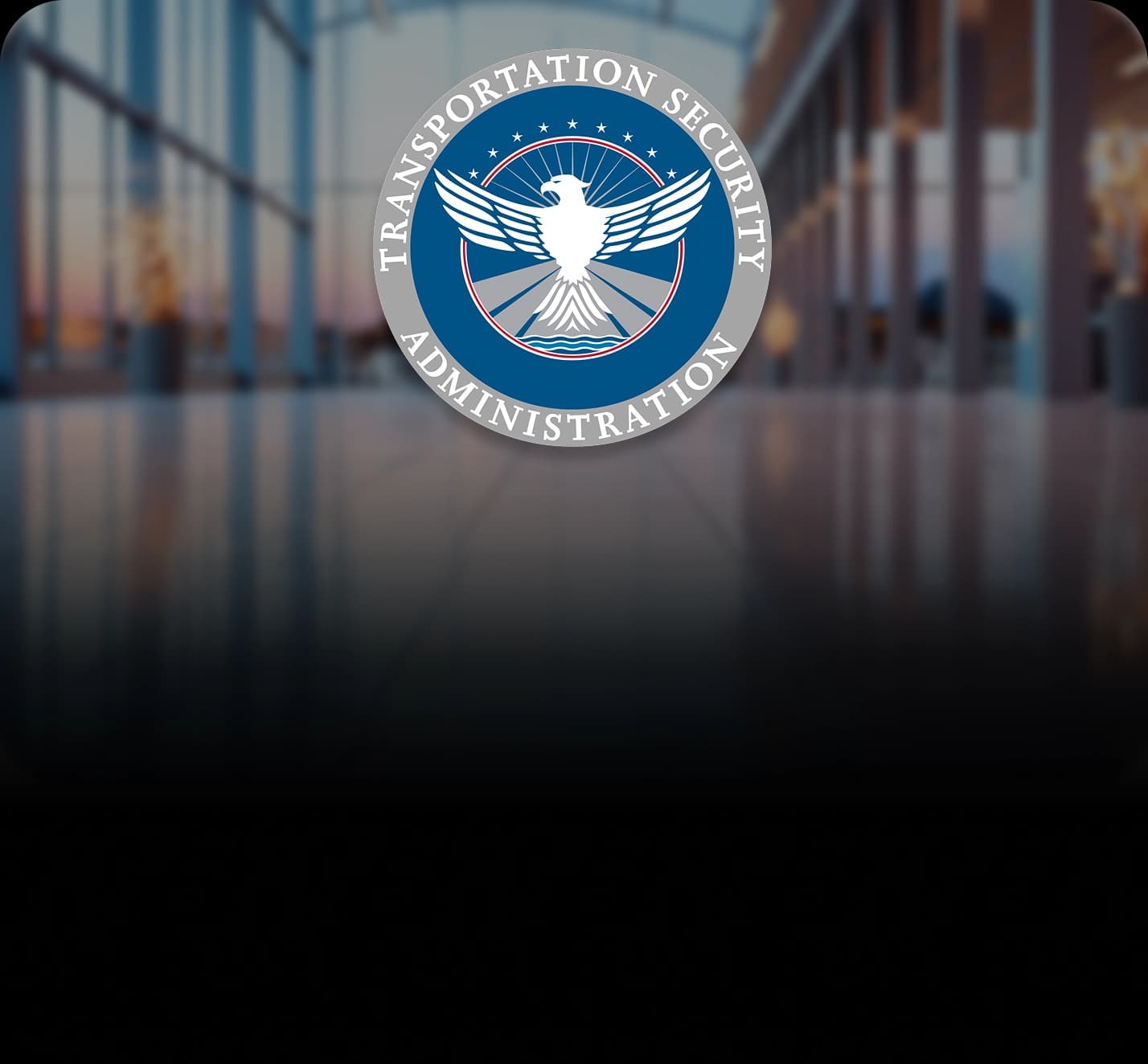 visa-tsa-2